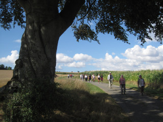 rando-noeux-les-auxi-h-tre-beauvoir-pc-6464